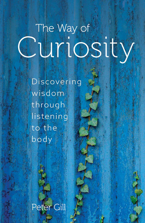 The Way of Curiosity - Review